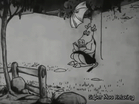 Dieren Koe Jim Gifs wetsontwerp beslissing 