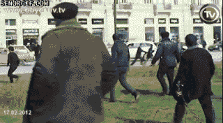 Dieren Koeien Koe Gifs mislukken 
