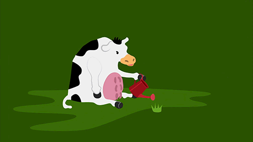 Dieren Koe Jim Gifs wetsontwerp beslissing 