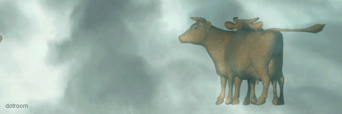 Dieren Koe Gifs nu voor chow 