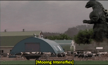 Dieren Koe Gifs mislukken geslacht humping 