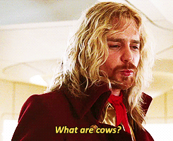 Koe GIF. Dieren Koe Jim Gifs Wetsontwerp Beslissing 