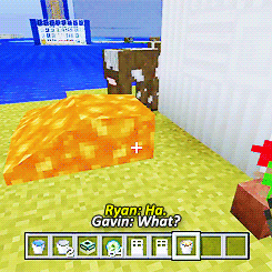 Koe GIF. Dieren Klein Koe Gifs Hypno 