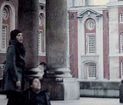 Koe GIF. Dieren Koe Luke Gifs 