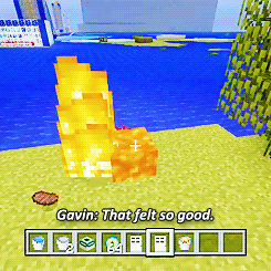 Koe GIF. Dieren Koe Gifs 