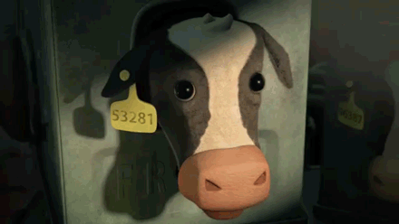 Dieren Koe Gifs 