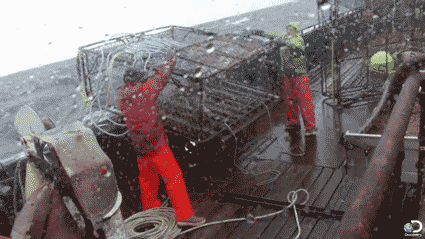 Dieren Krab Gifs octopus 