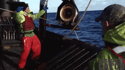 Dieren Krab Gifs ongelukkig 