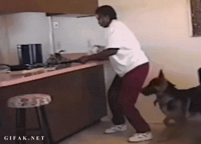 Dieren Krab Gifs 