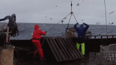 Dieren Krab Gifs dier foxadhd vos mutant purper animatie overheersing highdef sean solomon lav 
