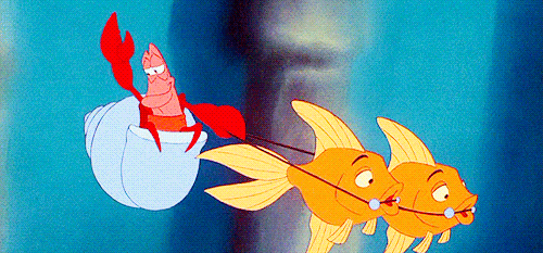 Dieren Krab Gifs moves hoefijzer 
