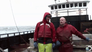 Dieren Strand vrienden Krab Gifs gustokolangitryito september 2012 
