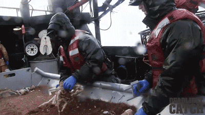 Dieren Krab Gifs 