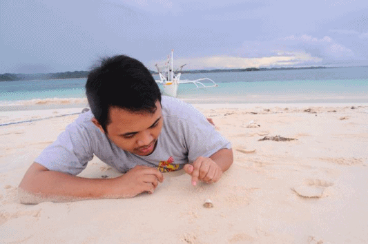 Dieren Strand vrienden Krab Gifs gustokolangitryito september 2012 