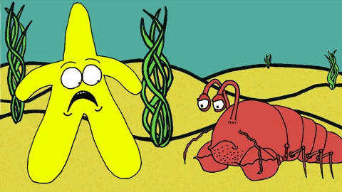 Dieren Krab Gifs 