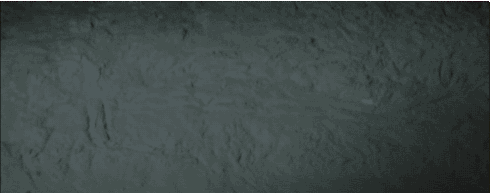 Dieren Aquarium Krab Gifs 