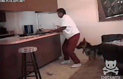 Dieren Krab Gifs blok coolste 
