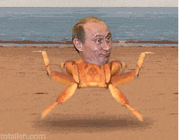 Krab GIF. Dieren Strand Krab Gifs Hond 