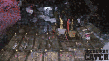 Dieren Krab Gifs 