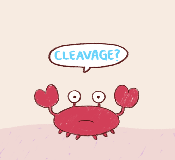 Dieren Krab Gifs zand rollen brb staaaahhhhpppp 