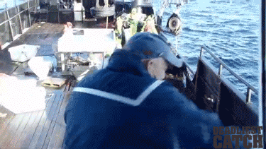 Dieren Krab Gifs dans 