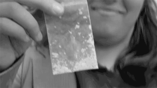 Dave Chappelle GIF. Verward Wow Gifs Filmsterren Dave chappelle Verbijsterd Chappelle show 