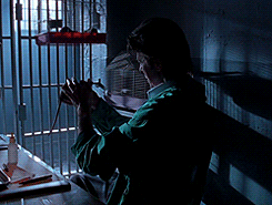 David Bowie GIF. Artiesten Dave Gifs David bowie Labyrint Orbs 