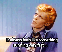 David Bowie GIF. Artiesten Gifs David bowie Geschokt Bezorgd 