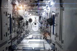David Bowie GIF. Artiesten Gifs David bowie 