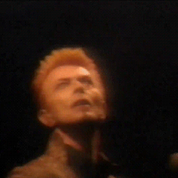 David Bowie GIF. Artiesten Gifs David bowie 