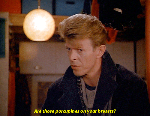 Artiesten Tv Gifs David bowie 