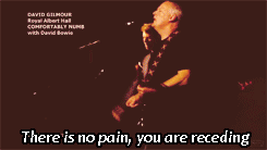 David Bowie GIF. Beroemdheden Artiesten Film Gifs David bowie &amp;#39;70 De man die naar de aarde viel Thomas newton 