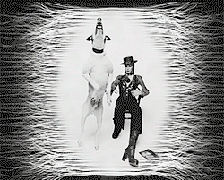 David Bowie GIF. Artiesten Gifs David bowie 