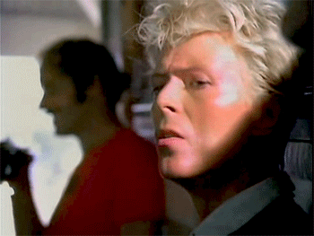 Boos Artiesten Gifs David bowie koekje raken woede 