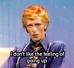 David Bowie GIF. Artiesten Gifs David bowie Tilda swinton 