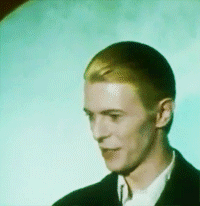 David Bowie GIF. Artiesten Dave Flirten Zonnebril Gifs David bowie 90s Swag 