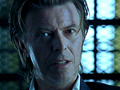 David Bowie GIF. Beroemdheden Artiesten Gifs David bowie De man die naar de aarde viel Thomas newton 