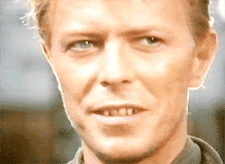 David Bowie GIF. Artiesten Tv Gifs David bowie 