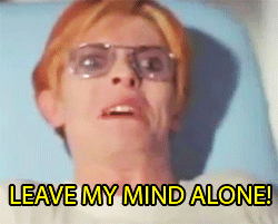 David Bowie GIF. Muziek Artiesten Bowie Gifs David bowie Glimlach S Gelukkig 1980 &amp;#39;80 De jaren &amp;#39;80 