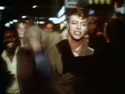David Bowie GIF. Beroemdheden Artiesten Film Gifs David bowie &amp;#39;70 De man die naar de aarde viel Thomas newton 
