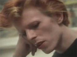 Artiesten Zonnebril Gifs David bowie 90s 