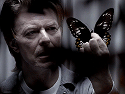 David Bowie GIF. Beroemdheden Artiesten Gifs David bowie Ander 90s Fotoset 