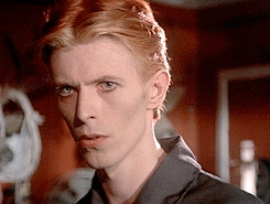 David Bowie GIF. Muziek Beroemdheden Artiesten Gifs David bowie &amp;#39;70 &amp;#39;80 