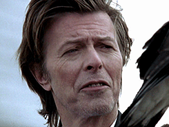 David Bowie GIF. Beroemdheden Artiesten Gifs David bowie &amp;#39;60 Het beeld 