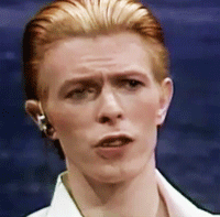 David Bowie GIF. Beroemdheden Artiesten Heroes Gifs David bowie Fotoset 