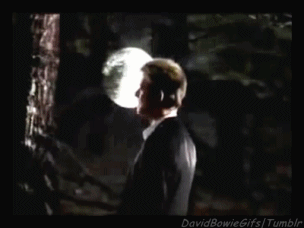 Beroemdheden Artiesten Gifs David bowie ander 