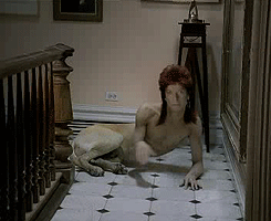 David Bowie GIF. Artiesten Drinken Vriendschap Gifs David bowie Zoolander Behulpzaam Uitgaansavonden 