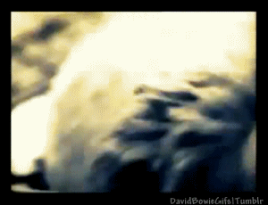 David Bowie GIF. Artiesten Bowie Gifs David bowie 