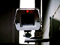 David Bowie GIF. Artiesten Gifs David bowie 