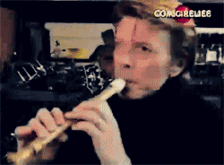 David Bowie GIF. Muziek Artiesten Gifs David bowie 